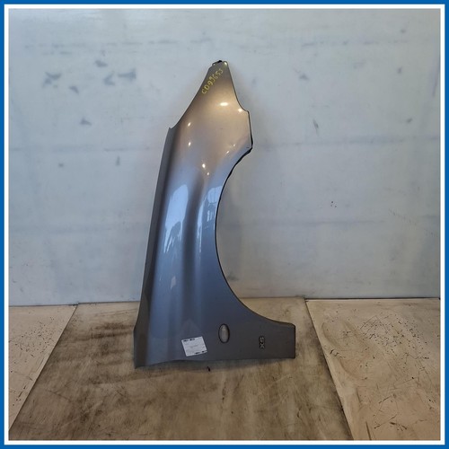 Parafango anteriore destro dx - ,
