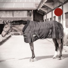 Coperta cavalli invernale