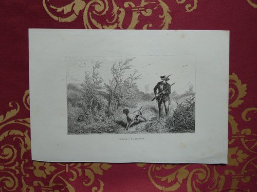 Caccia alla beccaccia chasse - alla,