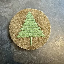 WW1 US Army 91° Divisione