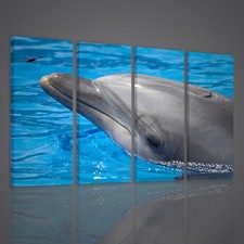 QUADRI MODERNI DELFINO QUADRO