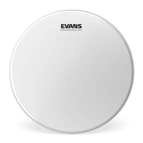 Evans tamburo - inches),