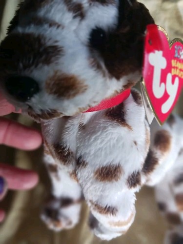 Peluche cane springer spaniel - peluche,