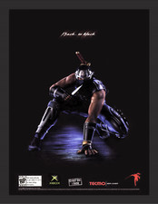 Poster da parete Ninja Gaiden
