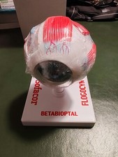 Modello anatomico occhio umano ingrandito e smontabile - Sponsorizzato