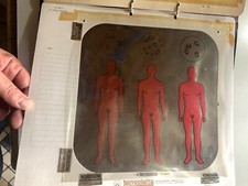 VINTAGE TRASPARENTI LAVAGNA LUMINOSA TECNODATTA CORPO UMANO MATERIALE DIDATTICO