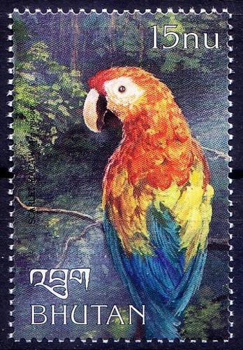 Ara scarlatta - , (ara