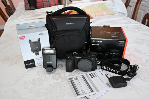 Sony alpha a6600 - a6600, flash
