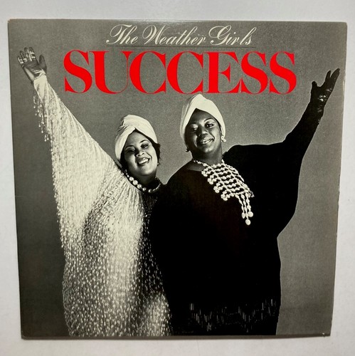 The weather girls - the,
