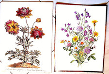 2 STAMPE FIORI