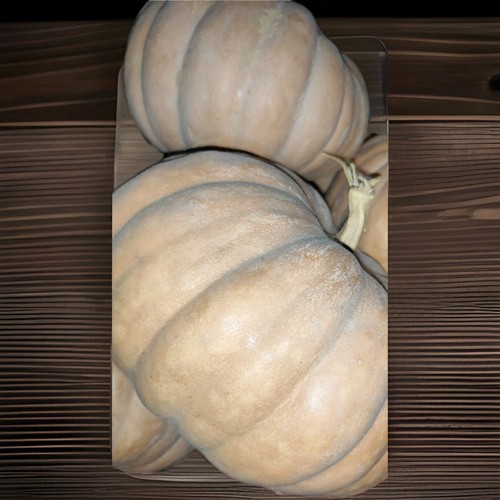 Zucca moscata siciliana - zucca,