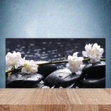 Splashback Paraschizzi