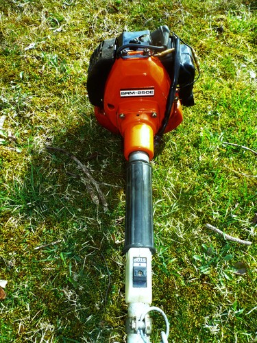 Echo string trimmer - echo,