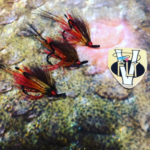Fly taglia ultimate - v,