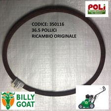 BILLY GOAT ARIEGGIATORE