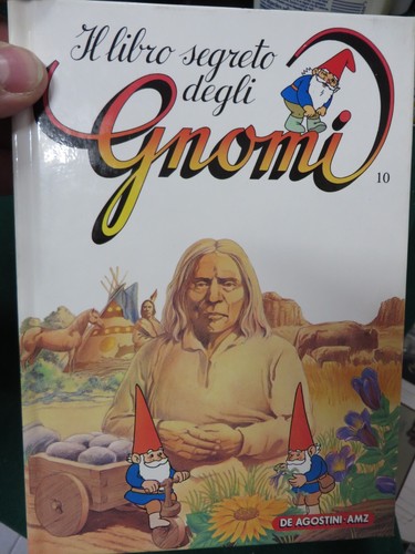 Book libro segreto - -, il