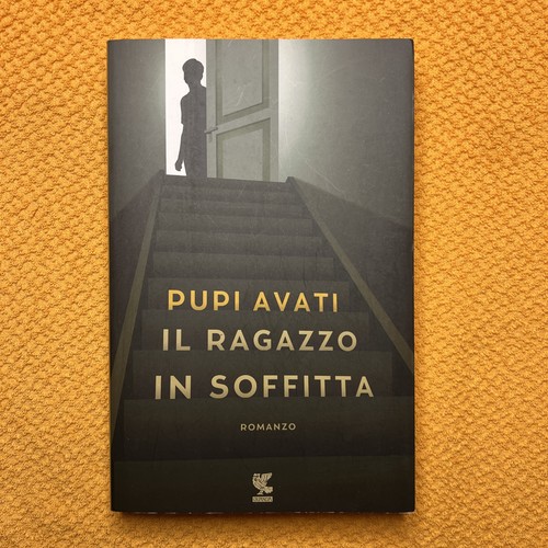 Ragazzo soffitta avati - soffitta,