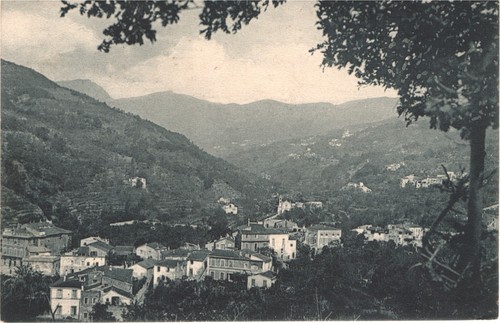 Savona calice ligure fp vg - ligure,