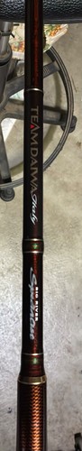 Canna pesca daiwa - canna, italy