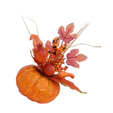  Zucca Artificiale Zucche