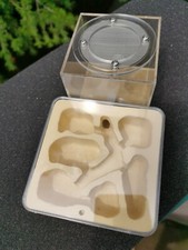 Nuovo nido di formiche regina