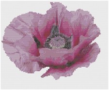 Schema Di Punto Croce Di