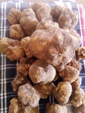 100 GR TARTUFO BIANCHETTO