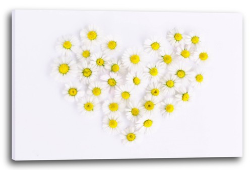 Tela cornice immagini fiori - tela/cornice,