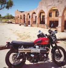 TRIUMPH SPEED TWIN 900