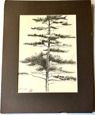 “Graziani” firmato a