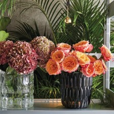 Vaso Jelly Design Kartell