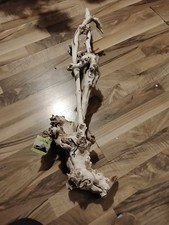 LEGNO D'UVA VITE TRONCO DI