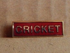  School Cricket  team  Red