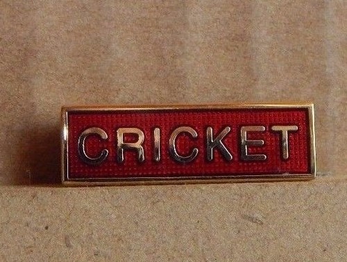 School cricket team red - school,
