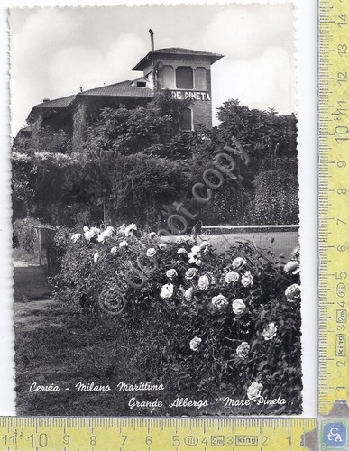 Cartolina postcard cervia - cartolina,