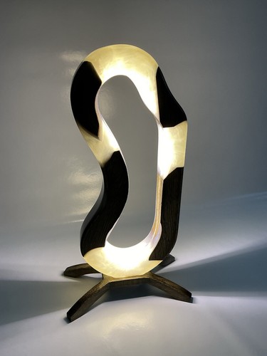Splendida funzione luce - , la