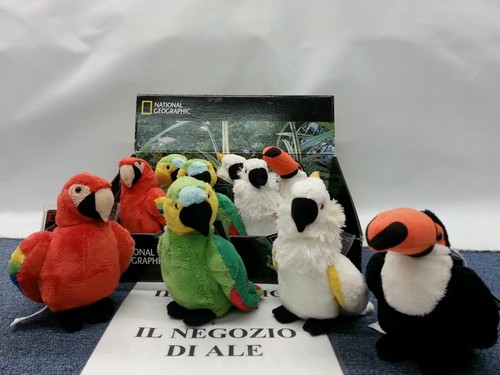 National geographic peluche - national, geographic-peluche
