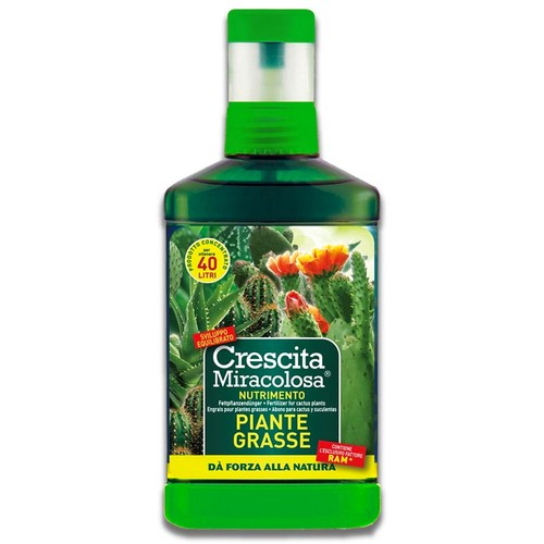 Nutrimento cactus piante
