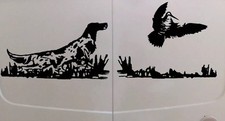 Adesivo setter inglese - setter,