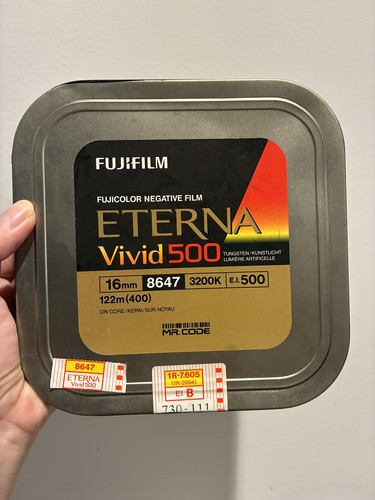Fujifilm eterna vivid 500t - fujifilm,