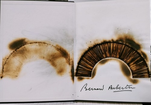 Bernard aubertin livre brulé - livre,