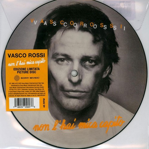 Vasco rossi non hai - rossi, mica