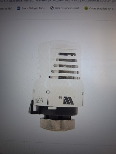 Testa testina termostatica