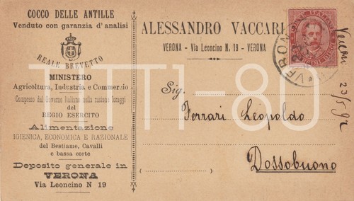 Verona cocco delle - -,