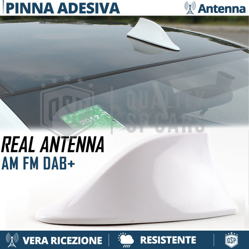 Antenna pinna squalo - antenna,