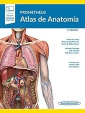 Prometheus. Atlas de Anatomía 4º ed (+ ebook) von G... | Buch | Zustand sehr gut