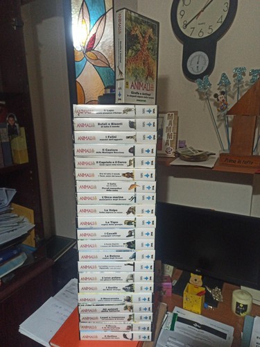 Vhs videocassette animali - 22,