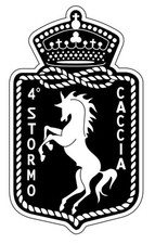 Stormo caccia - stormo,