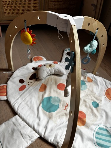 Palestrina neonato orso polare - orso,