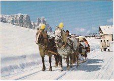 ALPE DI SIUSI CON SCILIAR -